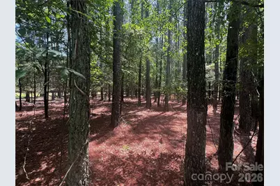 00 Sandlapper Drive #B, York, SC 29745 - Photo 4