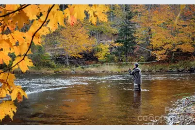 1644 Broadstone Road, Banner Elk, NC 28604 - Photo 44