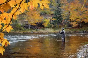 1644 Broadstone Rd, Banner Elk, NC 28604 - Photo 44