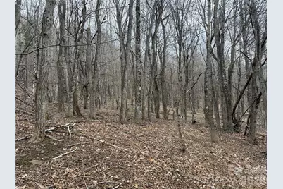 286 Frontier Drive, West Jefferson, NC 28694 - Photo 10