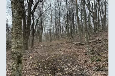 286 Frontier Drive, West Jefferson, NC 28694 - Photo 16