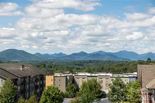 301 Ava Ln, Asheville, NC 28804 - Photo 2