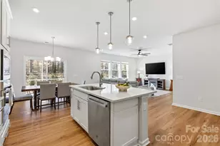 8209 Franklin Trl St, Mint Hill, NC 28227 - Photo 4