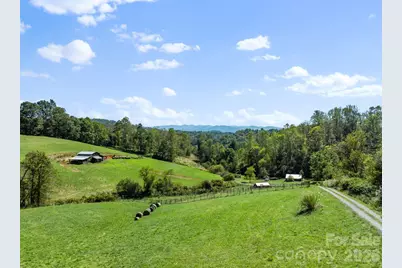 99 Quill Ammons Hollow, Marshall, NC 28753 - Photo 8