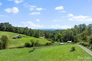 99 Quill Ammons Hollow, Marshall, NC 28753 - Photo 8