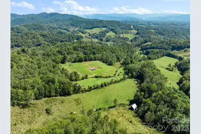 99 Quill Ammons Hollow, Marshall, NC 28753 - Photo 4