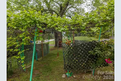 4665 N Nc 9 Highway, Mill Spring, NC 28756 - Photo 46