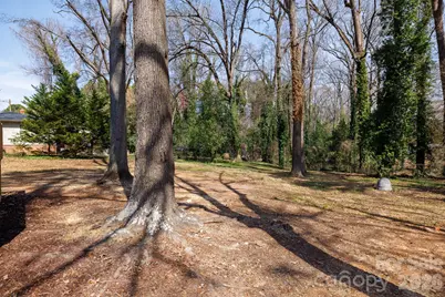 1610 India Hook Road, Rock Hill, SC 29732 - Photo 34