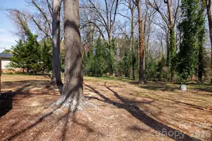 1610 India Hook Rd, Rock Hill, SC 29732 - Photo 34