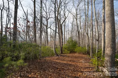 29 Open Ridge Trail, Pisgah Forest, NC 28768 - Photo 4
