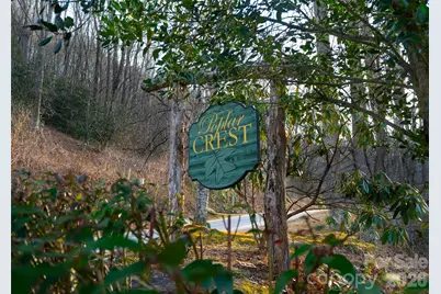 29 Open Ridge Trail, Pisgah Forest, NC 28768 - Photo 8