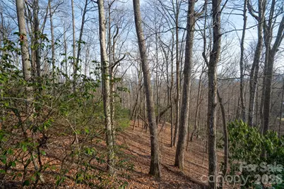 29 Open Ridge Trail, Pisgah Forest, NC 28768 - Photo 10
