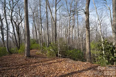 29 Open Ridge Trail, Pisgah Forest, NC 28768 - Photo 2