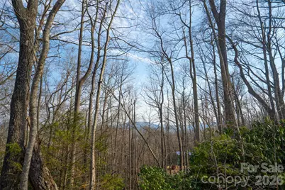 29 Open Ridge Trail, Pisgah Forest, NC 28768 - Photo 12