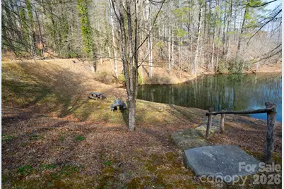 29 Open Ridge Trail, Pisgah Forest, NC 28768 - Photo 14