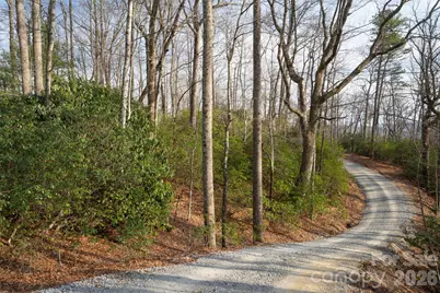29 Open Ridge Trail, Pisgah Forest, NC 28768 - Photo 6