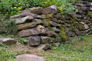 15 Wolfe Cove Rd, Asheville, NC 28804 - Photo 32