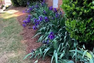 13824 Glen Abbey Dr, Charlotte, NC 28278 - Photo 44