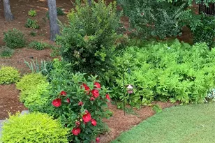 13824 Glen Abbey Dr, Charlotte, NC 28278 - Photo 46