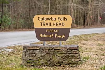 60 Maple Ridge Drive, Old Fort, NC 28762 - Photo 32