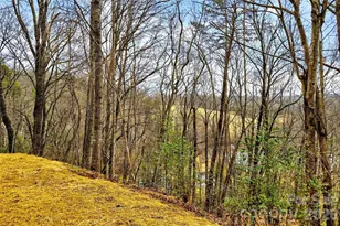 88 Windy Hill Dr, Old Fort, NC 28762 - Photo 42