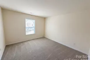 11288 Lions Mane St, Charlotte, NC 28273 - Photo 14