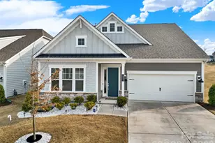 18033 Grey Mossrun Dr, Charlotte, NC 28278 - Photo 1