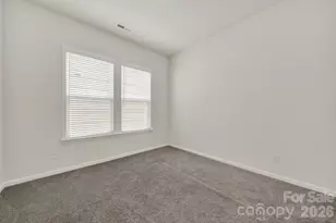 18033 Grey Mossrun Dr, Charlotte, NC 28278 - Photo 8