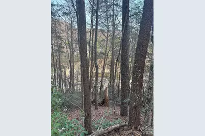 Lot 20 Nicklaus Lane, Lake Lure, NC 28746 - Photo 2