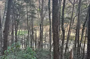 Lot 20 Nicklaus Ln, Lake Lure, NC 28746 - Photo 1