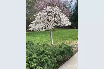 21 Kanuga Forest Drive, Hendersonville, NC 28739 - Photo 46