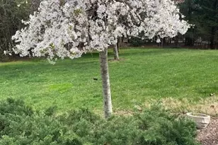 21 Kanuga Forest Dr, Hendersonville, NC 28739 - Photo 46