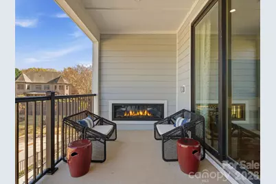 6009 Yellow Buckeye Drive, Charlotte, NC 28277 - Photo 30