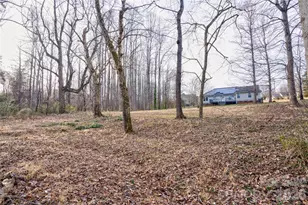 126 Deer Track Ln, Gaffney, SC 29341 - Photo 38