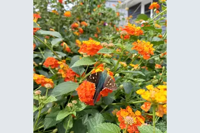 237 Jefferson Avenue NE, Concord, NC 28025 - Photo 14