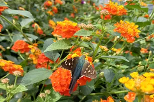 237 Jefferson Ave NE, Concord, NC 28025 - Photo 14