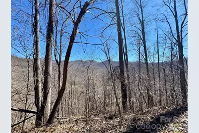 99999 North Fork Road, Barnardsville, NC 28709 - Photo 4