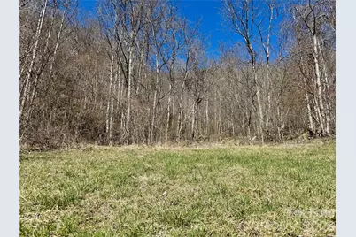 99999 North Fork Road, Barnardsville, NC 28709 - Photo 2