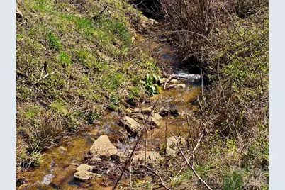 99999 North Fork Road, Barnardsville, NC 28709 - Photo 6