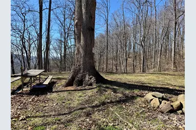 99999 North Fork Road, Barnardsville, NC 28709 - Photo 1