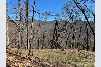 99999 North Fork Road, Barnardsville, NC 28709 - Photo 12