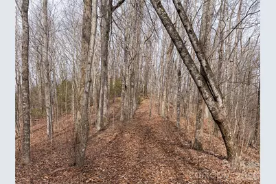 99999 Nc 9 Highway, Black Mountain, NC 28711 - Photo 32