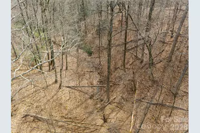 99999 Nc 9 Highway, Black Mountain, NC 28711 - Photo 14