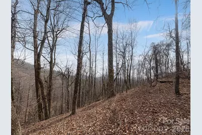 99999 Nc 9 Highway, Black Mountain, NC 28711 - Photo 30