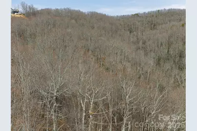 99999 Nc 9 Highway, Black Mountain, NC 28711 - Photo 8