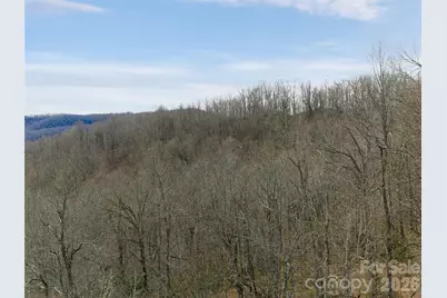 99999 Nc 9 Highway, Black Mountain, NC 28711 - Photo 20