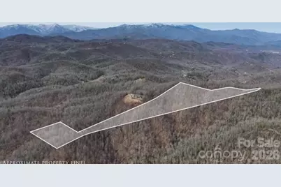 99999 Nc 9 Highway, Black Mountain, NC 28711 - Photo 1