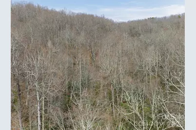 99999 Nc 9 Highway, Black Mountain, NC 28711 - Photo 18
