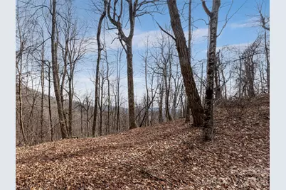 99999 Nc 9 Highway, Black Mountain, NC 28711 - Photo 28