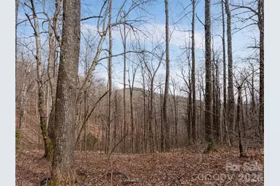 99999 Nc 9 Highway, Black Mountain, NC 28711 - Photo 22